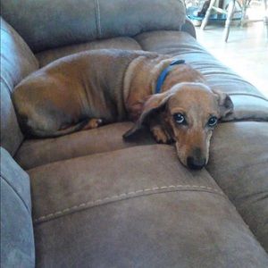 Meet your Posher, Jenna